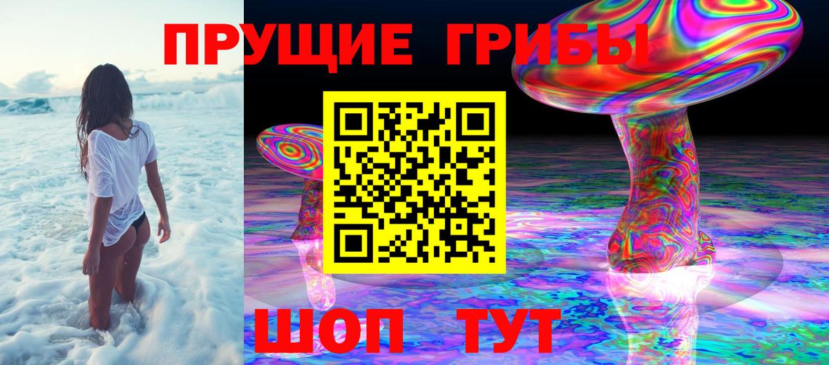 Галлюциногенные грибы MAGIC MUSHROOMS Кимовск